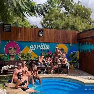 Auberge de jeunesse Gorilla, Mendoza